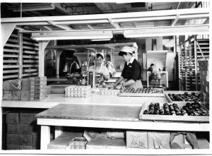 1958????????????????