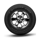 GRANDTREK AT25