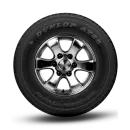 GRANDTREK AT25