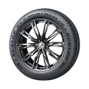 e-Sport Maxx
